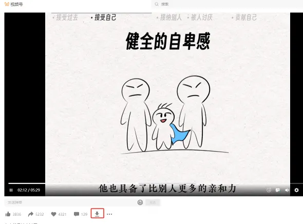 微信视频号下载(图5)