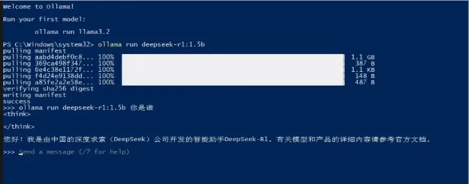 DeepSeek本地部署保姆级教程，0基础有手就会！(图12)