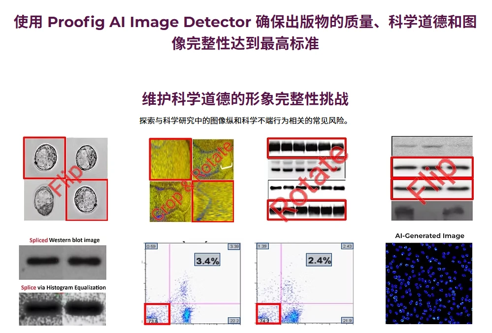 Proofig AI(图1)